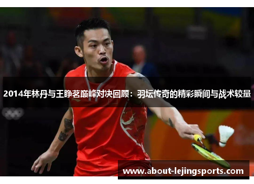 2014年林丹与王睁茗巅峰对决回顾：羽坛传奇的精彩瞬间与战术较量