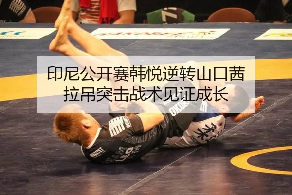 印尼公开赛韩悦逆转山口茜 拉吊突击战术见证成长