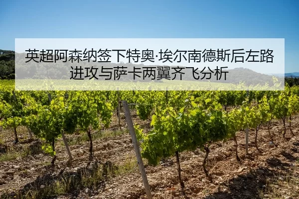 英超阿森纳签下特奥·埃尔南德斯后左路进攻与萨卡两翼齐飞分析
